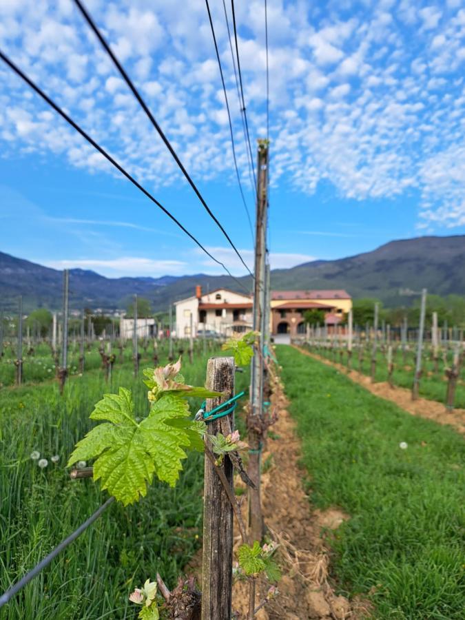 Posestvo Rouna - Winery And Apartments Vipava Exteriör bild