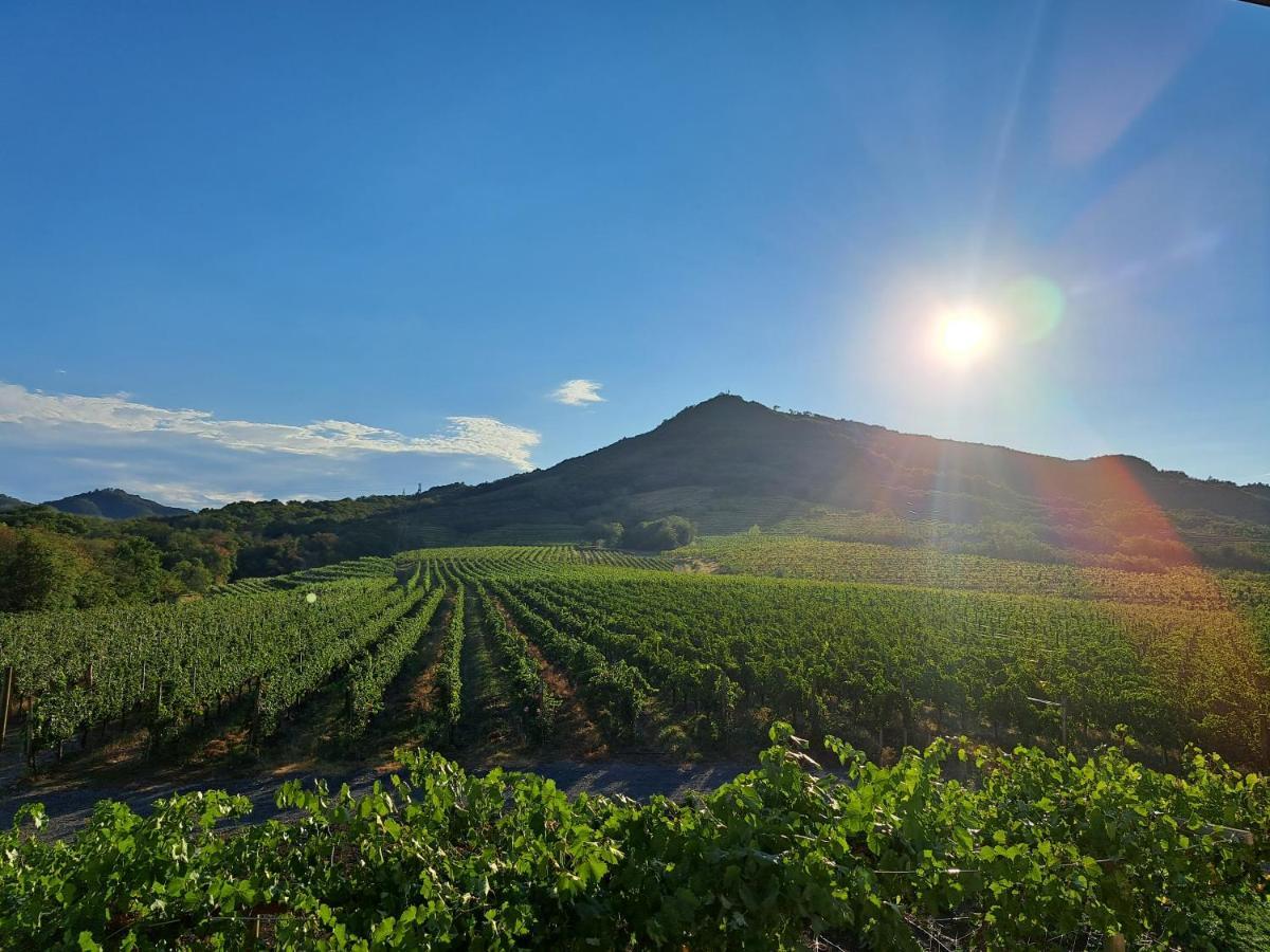 Posestvo Rouna - Winery And Apartments Vipava Exteriör bild