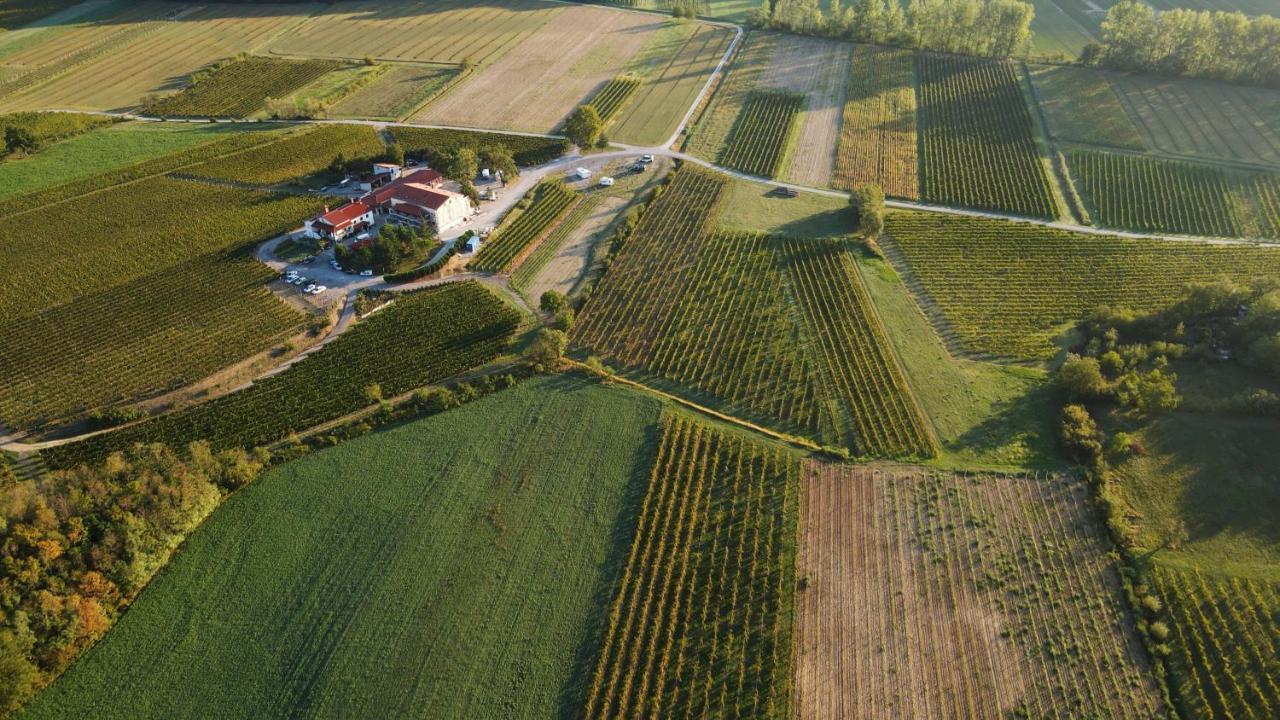 Posestvo Rouna - Winery And Apartments Vipava Exteriör bild